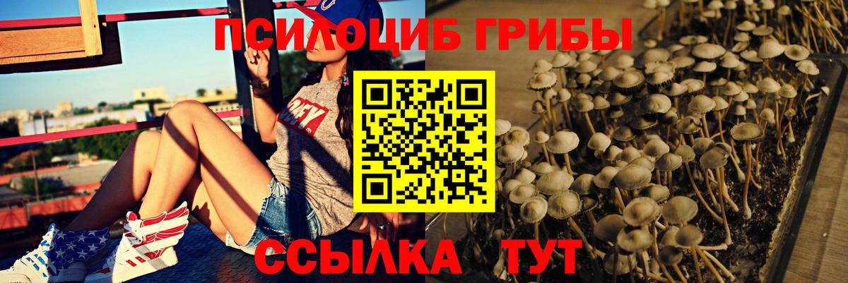 Галлюциногенные грибы GOLDEN TEACHER  Вход с VPN  Родники 