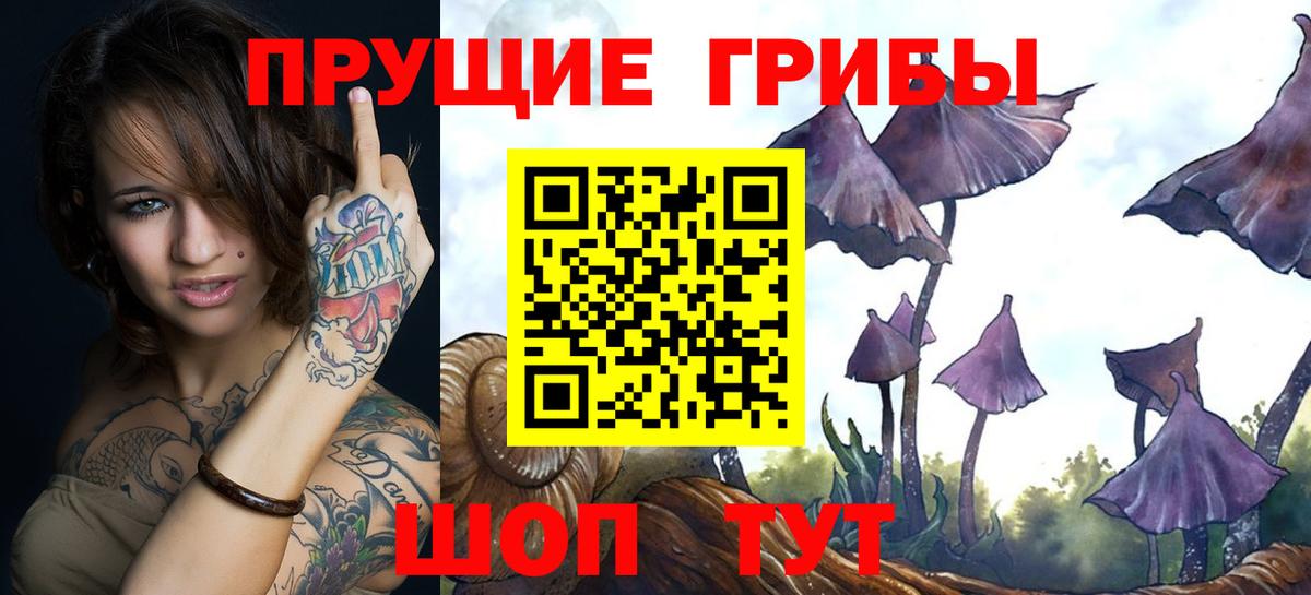 Псилоцибиновые грибы прущие грибы Родники